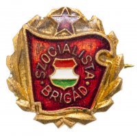 купить Знак ( малый) Венгрия, "Szocialista Brigad" ,Бригада социалистического труда, 1970-1975 гг., Эмаль, Булавка