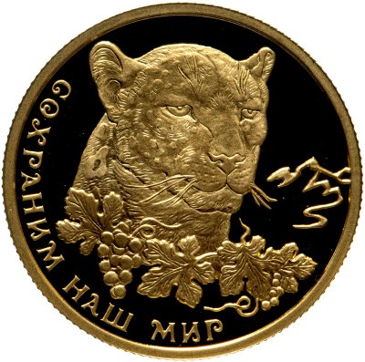 купить 50 рублей 2011 ММД Proof "Переднеазиатский леопард - Сохраним наш мир"