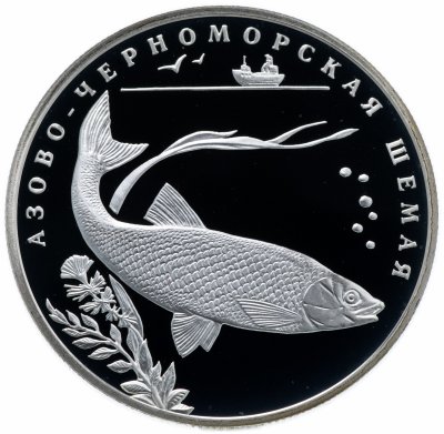 купить 2 рубля 2008 СПМД "Красная книга: азово-черноморская шемая"