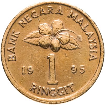 купить Малайзия 1 ринггит (ringgit) 1995
