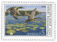 Купить 5 копеек 1990 "Обыкновенная кряква над заросшей кувшинками акваторией"