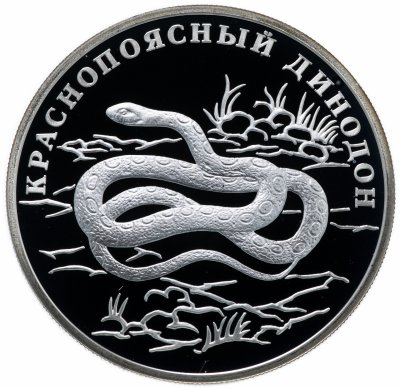 купить 1 рубль 2007 СПМД "Красная книга - краснопоясный динодон"
