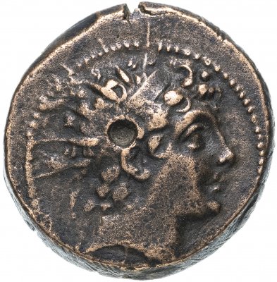 купить Селевкиды, Антиох VI Дионис Эпифан, 144-142 годы до Р.Х., АЕ21 бронза. Г. Апамея