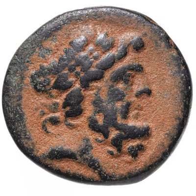 купить Сирия, Апамея-на-Оронте, квази-автономная чеканка, 56-76 год до Р.Х. (Слон)