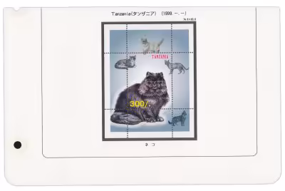 купить Танзания блок из 1 марки 1999 "Кошки"
