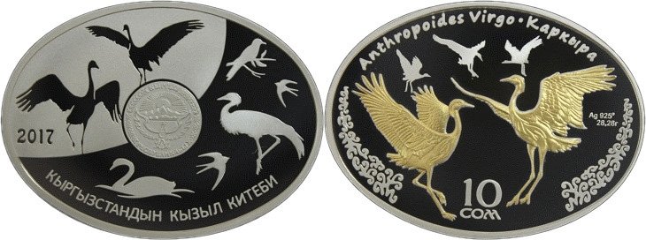 Представитель "Красной книги Киргизии" (2017 год)
