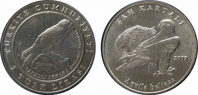 Птичий мир на аверсе и реверсе монеты 2009 года