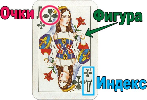 Важнейшие элементы лицевой стороны
