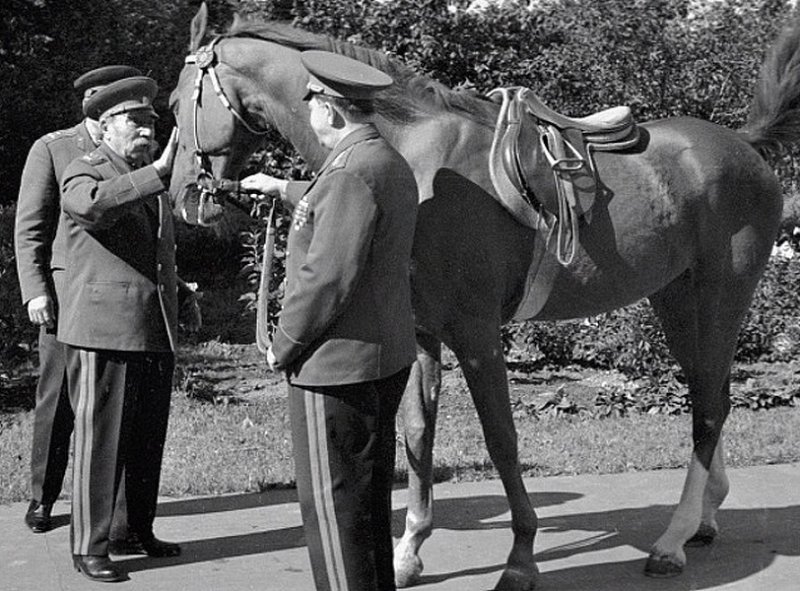 Семен Буденный на конном заводе, 1960-е гг.