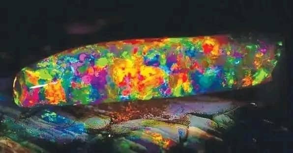 Опал Virgin Rainbow