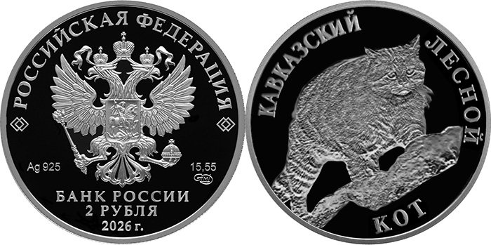 Гипотетический вид монеты (после выхода будет заменено реальным изображением)