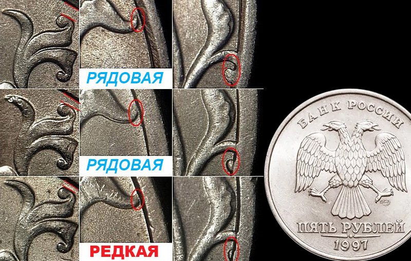 Определяем разновидность по совокупности признаков