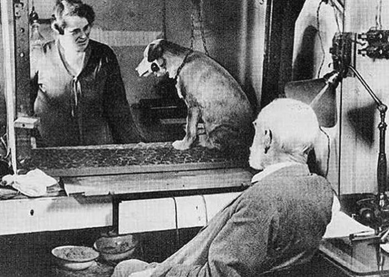 Павлов в лаборатории изучения рефлексов, 1920-е гг.