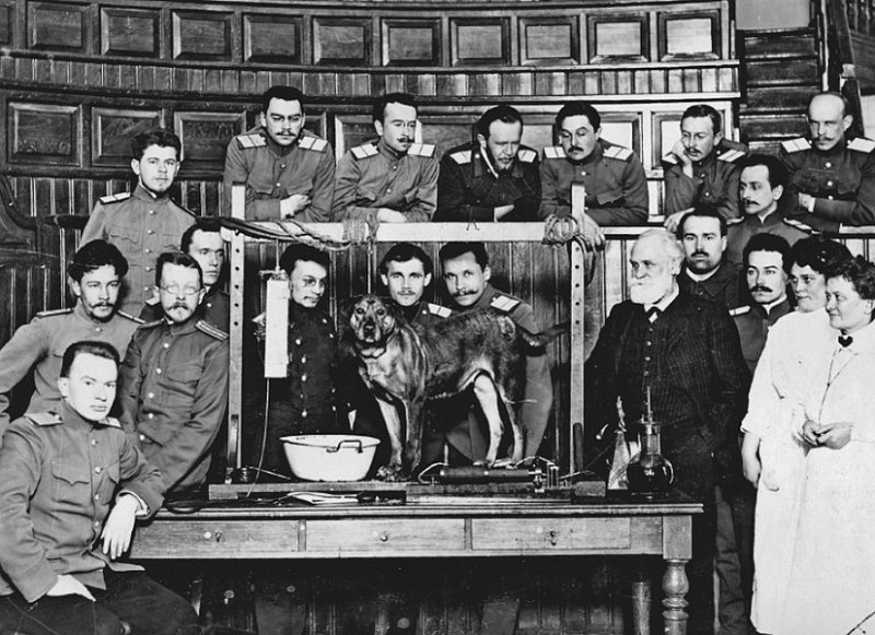 Павлов со слушателями Военно-медицинской академии в 1910-х гг.