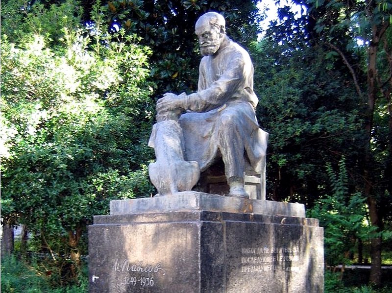 Памятник И.П. Павлову в Сухуме