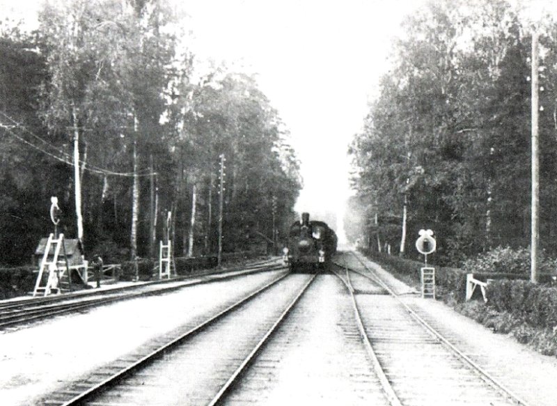 Царскосельская дорога в 1900-х гг.