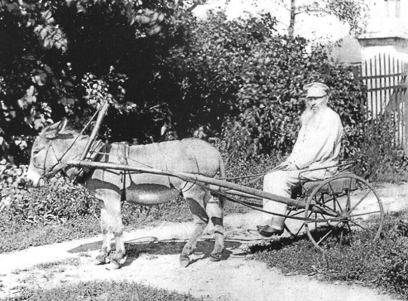 А. Фет в своей усадьбе Воробьевке в 1890 г.
