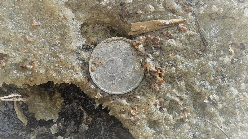 Вытаявшая из-под снега монета 5 рублей