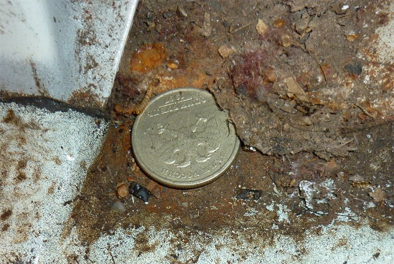 Рубль, ожидающий свою судьбу