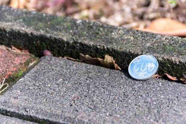 На пути может повстречаться и вот такая монета