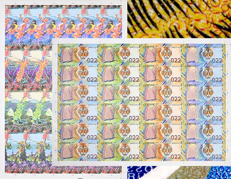 Обе стороны листа на фоне микротекста