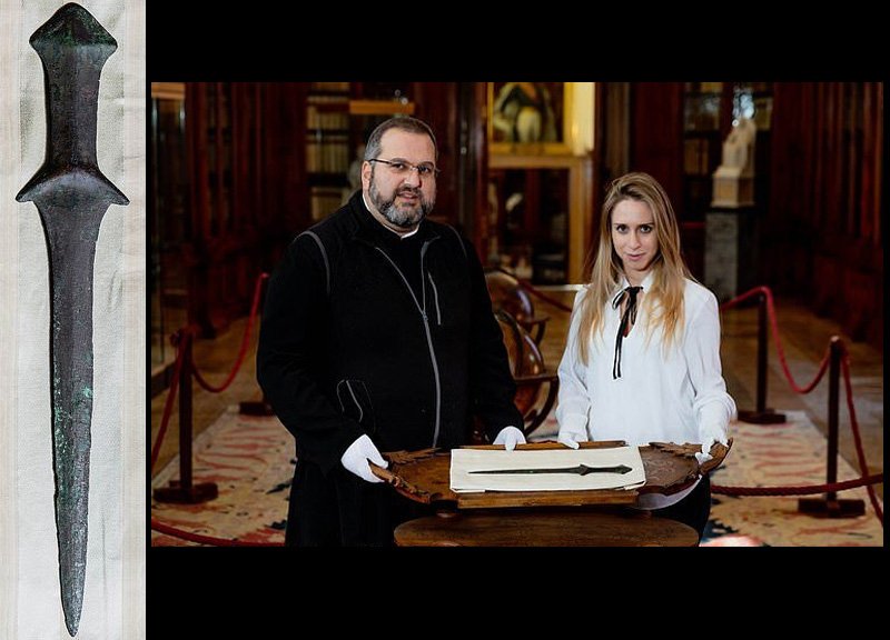 Виттория Далл'Армеллина и предмет её изучения