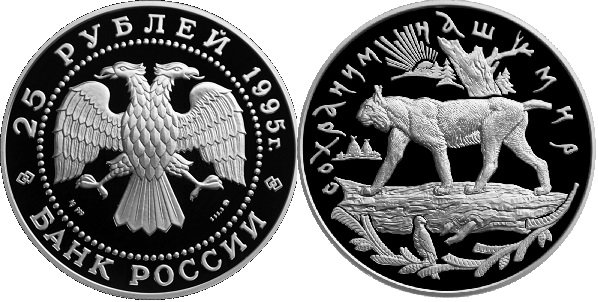 25 рублей 1995 года
