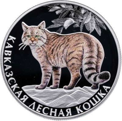 купить 2 рубля 2026 СПМД Proof «Кавказская лесная кошка — Красная книга»