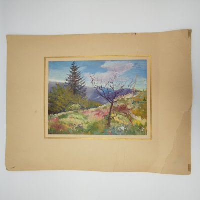 купить Живописный этюд "Карпаты", картон, масло, паспарту, автор М.Е. Чмель, СССР, 1950 г.