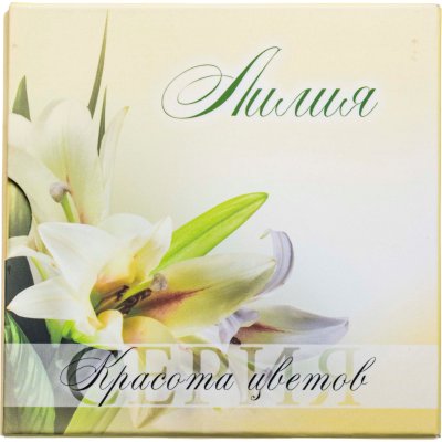 купить Беларусь 10 рублей 2013 Proof "Красота цветов - Лилия" в буклете с сертификатом