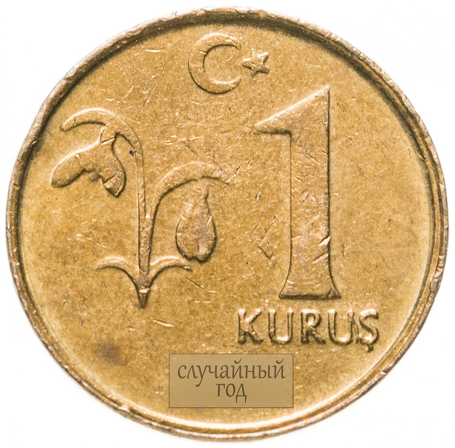 купить Турция 1 куруш (kurus) 2009-2020, случайная дата