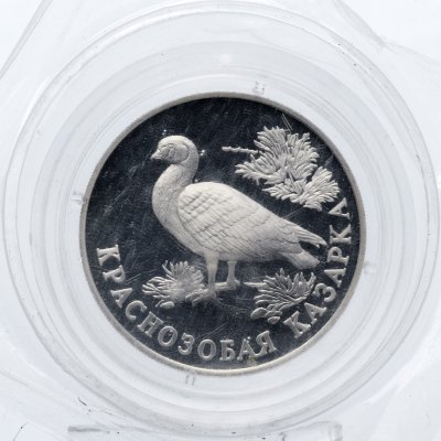 купить 1 рубль 1994 ЛМД Proof "Краснозобая казарка - красная книга" в родной запайке монетного двора