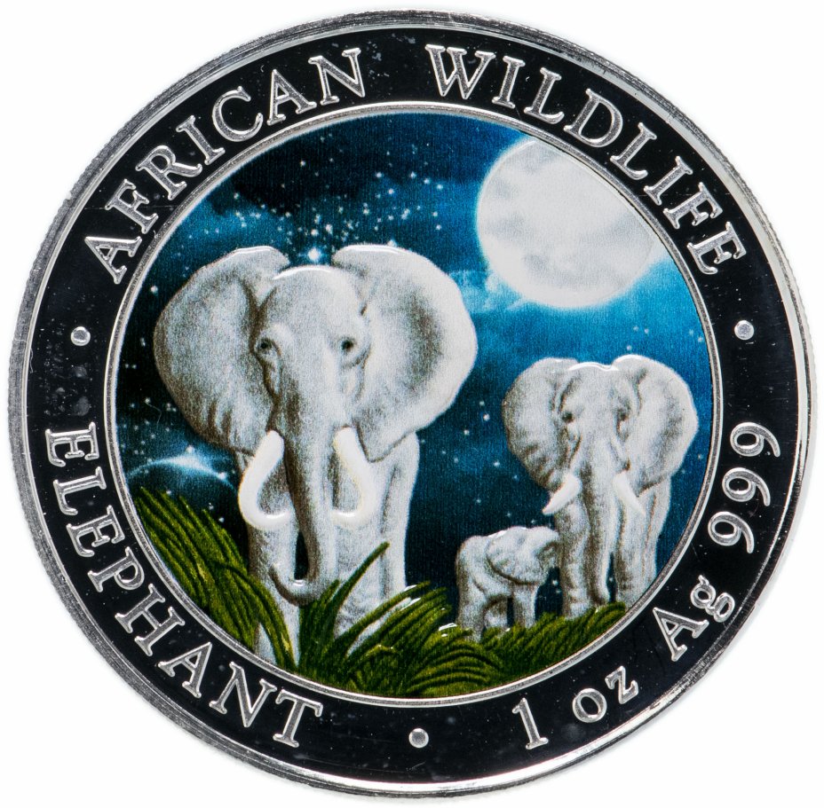 купить Сомали 100 шиллингов 2014  "Слоны цветная"