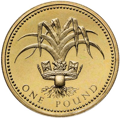 купить Великобритания 1 фунт (pound) 1990