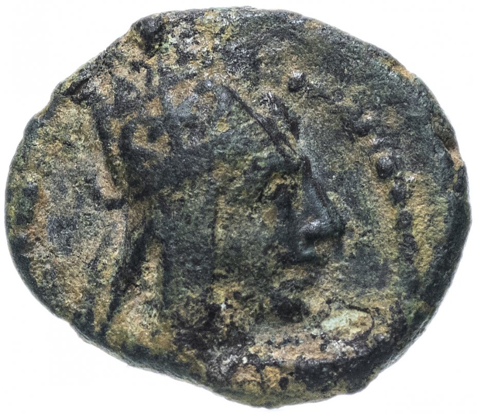 купить Великая Армения, Тигран II Великий, 95-56 годы до Р.Х., полхалка.