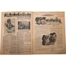 Купить Журнал "Журнал крестьянской молодежи" №6 март 1926, издательство "Крестьянская газета" адресован предположительно И.И. Дубасову, бумага, СССР, 1926 г.