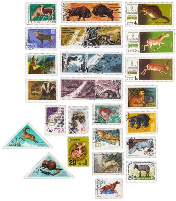 купить Набор из 24 марок "Фауна. Млекопитающие СССР"