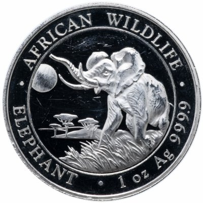 Купить Сомали 100 шиллингов 2016 "Животные Африки - Слон"
