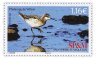 Купить Сен-Пьер и Микелон Почтовая марка  2023 "Большой плавунчик (Phalaropus tricolor)"