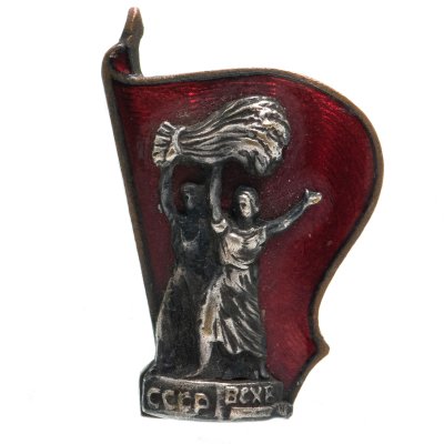 Купить Знак участника Всесоюзной сельскохозяйственной выставки, латунь, эмаль, винт. СССР, 1939-1940 гг.