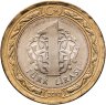 Купить Турция 1 лира (lira) 2012 "10 лет международной олимпиаде по турецкому языку"