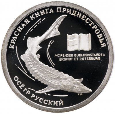 купить Приднестровье 10 рублей 2008 "Осетр русский"