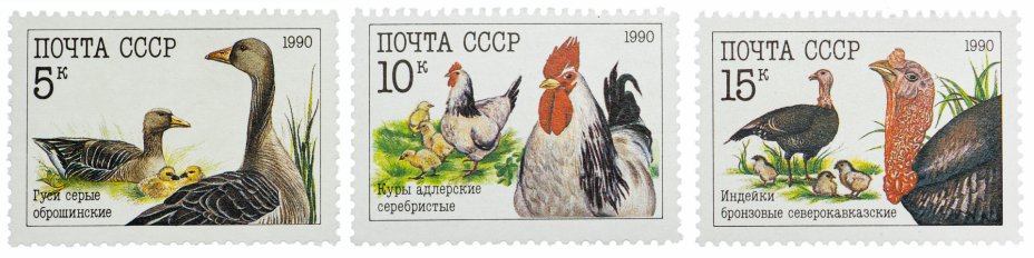 купить Полная серия 1990 "Домашние птицы" (3 марки)
