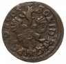 Купить Литва солид (боратинка) 1665 Ян Казимир