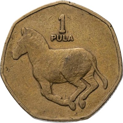 купить Ботсвана 1 пула (pula) 1991