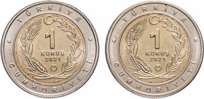 купить Турция, подборка из 2 монет 1 куруш 2021 - каракал и турецкий пойнтер (каталбурун)