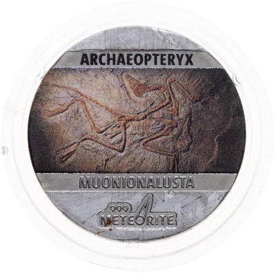 купить Остров Ниуэ 5 центов 2021 "Ископаемые на метеорите: Археоптерикс" с сертификатом