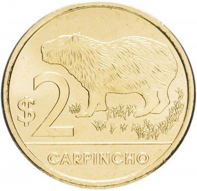 Купить Уругвай 2 песо 2012 "Водосвинка (капибара)"