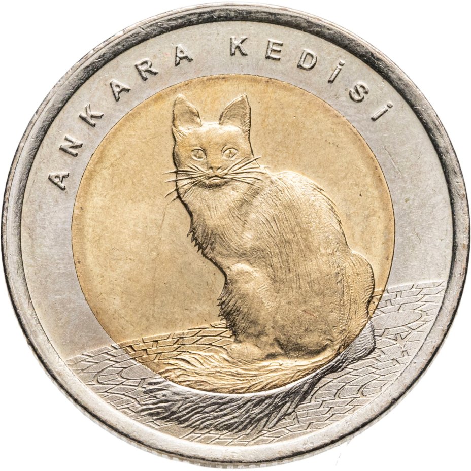 Купить 25 пар 1920