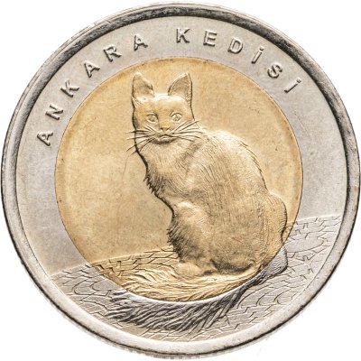 Купить 25 пар 1920